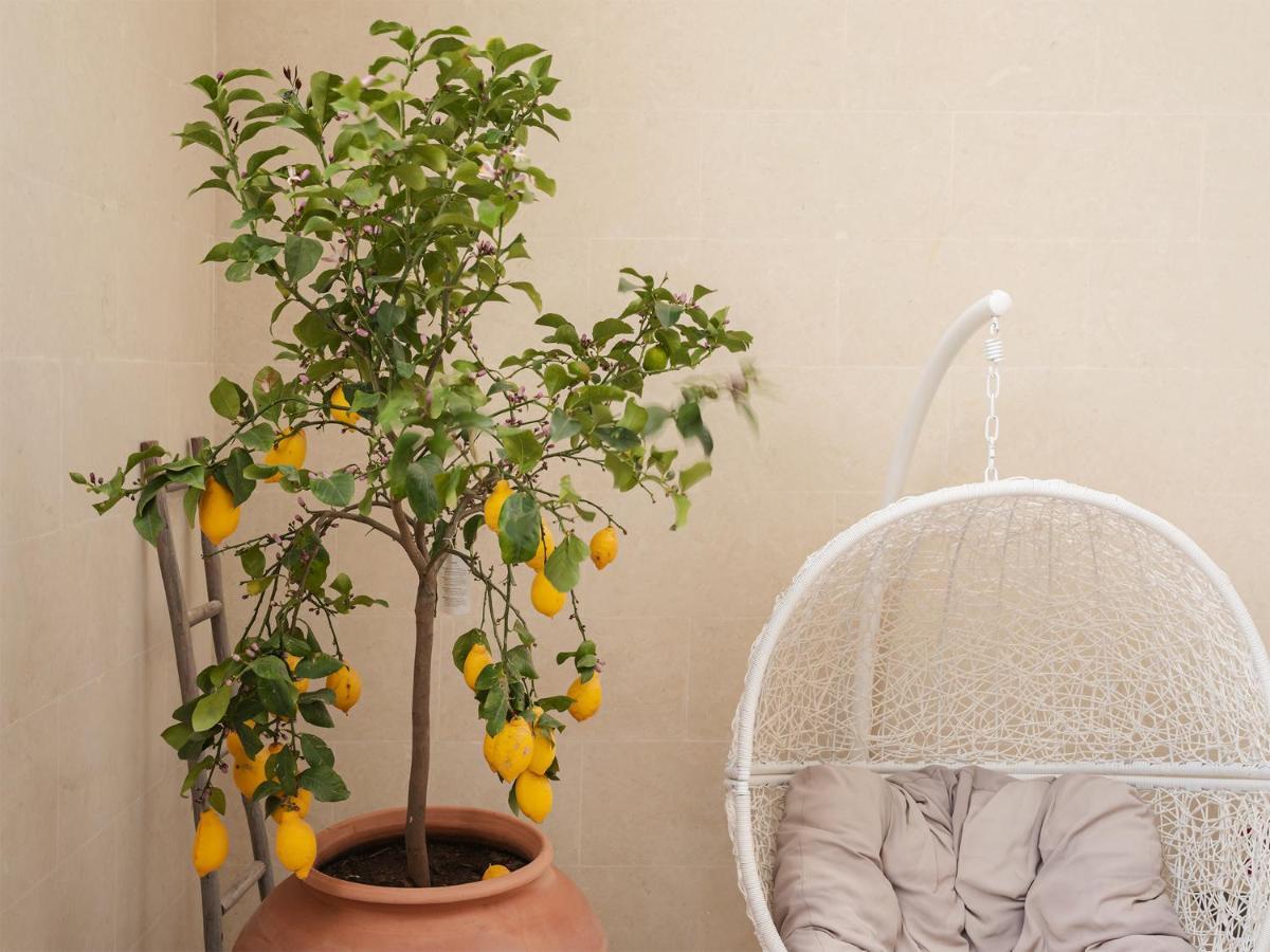 Living U Homesuites Lecce Extérieur photo